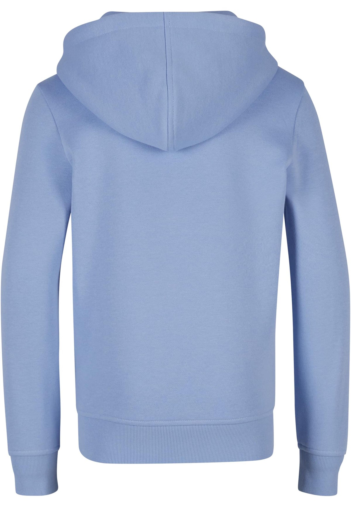 Sweat capuche enfant BY117 bleu poudre - vue de dos