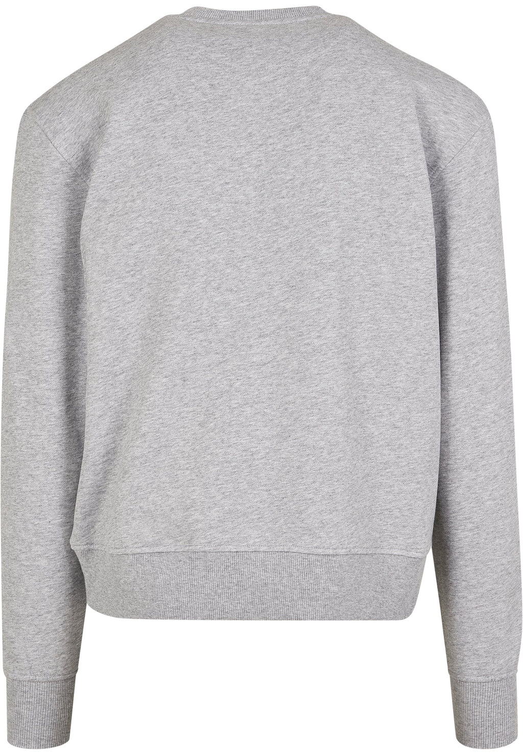 Sweat col rond Premium oversize BY120 gris chine - vue de dos